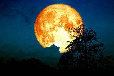 Süper çilek ayı bulutlara geri döndü ve ağaçlar tarlada ve gece gökyüzünde, NASA tarafından desteklenen bu görüntünün elementleri