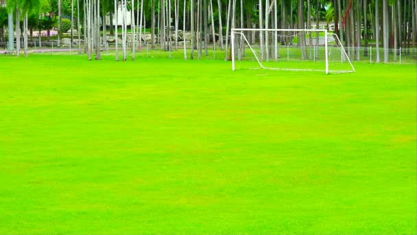Césped Verde Campo Fútbol Comunidad Está Bien Cuidada — Vídeo de stock