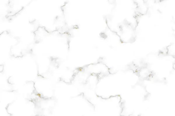 金矿般滑稽的狗线条与白色花岗岩大理石奢华的内部质感背景 — 图库照片