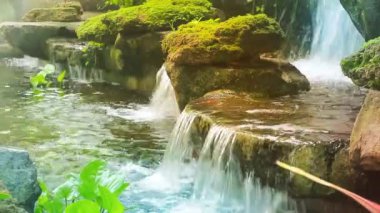 Güçlü bir akıntısı olan açık mavi bir şelale. Yosun ve bitkilerin ve doğadaki günbatımı ışığının arasında