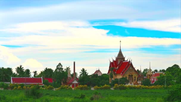 Thai Templomokat Építettek Erdőben Távol Jólét Természet Közepén Hogy Elkerüljék — Stock videók