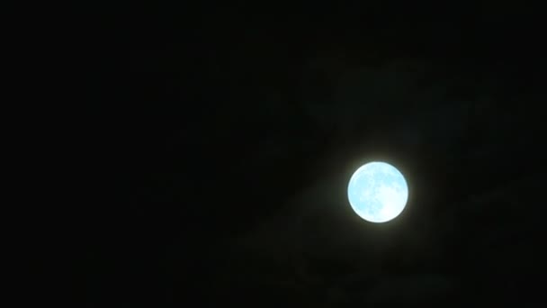 Volle Blauwe Bloem Maan Aan Nachtelijke Hemel Time Lapse — Stockvideo