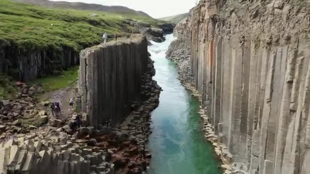 冰岛的大河 清澈的冷水 从复印机里取出来的 — 图库视频影像