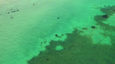 Su dokusunun üst görüntüsü. İzlanda 'da yeşil su. Temiz deniz