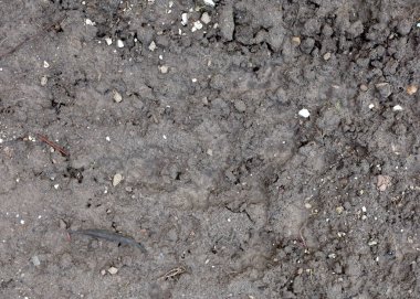 Top view, ground texture. Background of wet soil