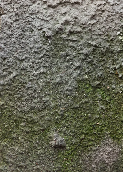 Wall background, grainy gray plaster, concrete texture, close-up.