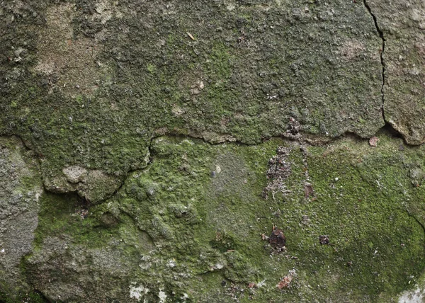 Background walls, destroyed and cracked walls, textures. The building needs repair