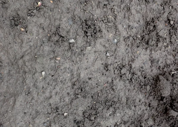 Top view, ground texture. Background of wet soil