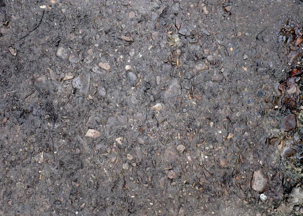 Top view, ground texture. Background of wet soil