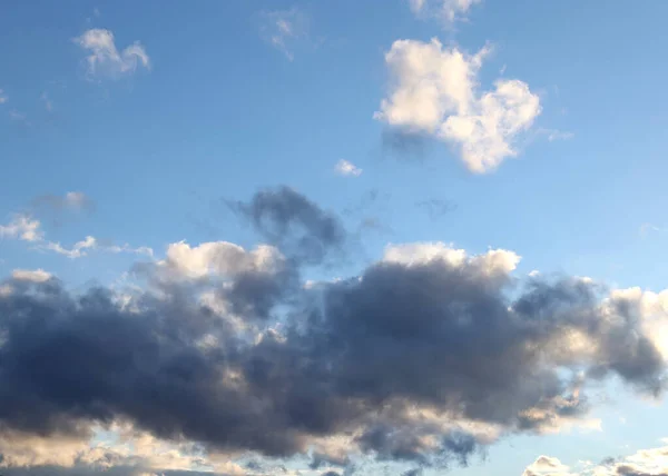Cloud background, Blue sky with white clouds, natural background. Crows fly by