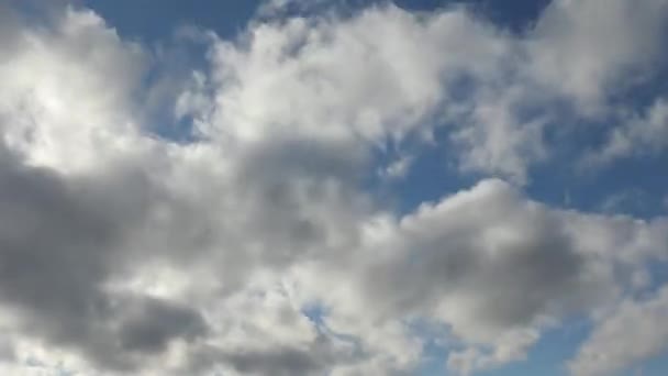 云彩背景 蓝天白云 自然背景 乌鸦飞过去了 — 图库视频影像