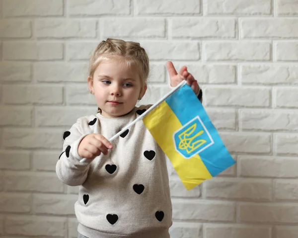 A little girl holds the flag of Ukraine in her hands. Young patriot, blue and yellow flag. A free Ukrainian woman