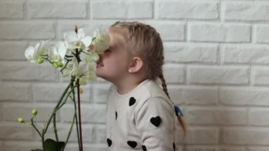A child is standing near a flower, she does not like its smell. Little girl