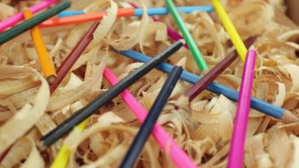 Wood Shavings Background Multicolored Pencils Lie Sawdust Sharpened Pencils Made — Stockvideo