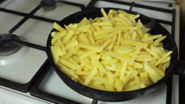 Raw French Fries Raw Potatoes Cut Strips Prepared French Fries — Stock videók