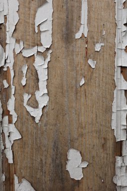 Wood texture. The board is worn and old. The white paint flew off the door, the paint peeled off
