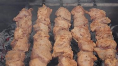 Lezzetli şiş kebap. Domuz eti yanıyor. Yemek yanıyor. Bahçede barbekü. Gürcü kebabı. Et, lezzetli bir yemek. Kızarmış et, sulu domuz eti. Kamp ateşinde yemek pişirmek. Gürcistan mutfağı. Şişte et.