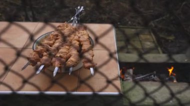 Lezzetli şiş kebap. Domuz eti yanıyor. Yemek yanıyor. Bahçede barbekü. Gürcü kebabı. Et, lezzetli bir yemek. Kızarmış et, sulu domuz eti. Kamp ateşinde yemek pişirmek. Gürcistan mutfağı. Şişte et.