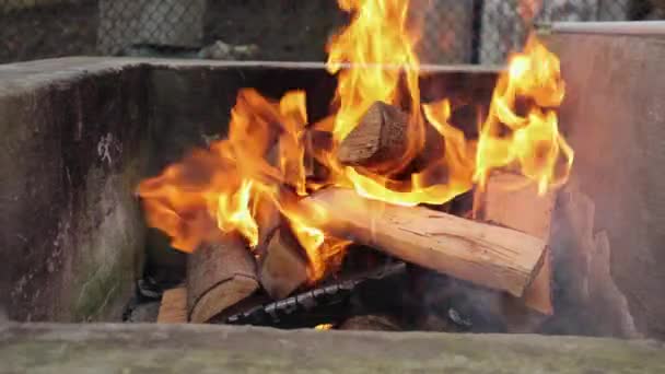 Barbecue Yard Firewood Cooking Summer Vacation Barbecue Fire Burning — 图库视频影像