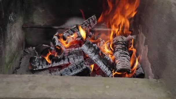 Grilování Dvoře Dřevo Oheň Vaření Letní Dovolená Grilu Hoří Oheň — Stock video