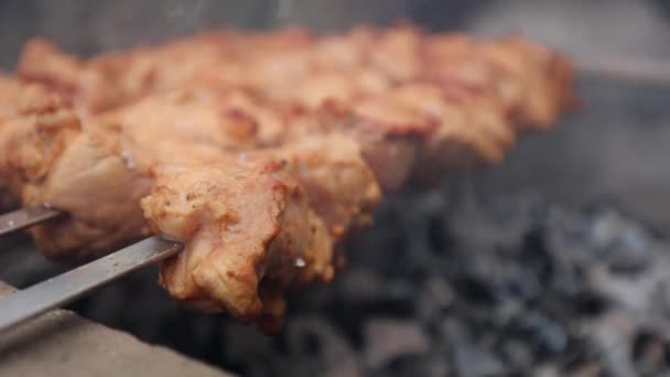 Delicious Juicy Shish Kebab Pork Fire Food Fire Barbecue Yard — 비디오
