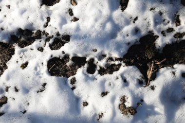 Üst manzara, kar dokusu. Geçmişi, kış dönemi. Doğal arka plan. Arka planda kar ve kara toprak var. Yakın çekim yüksek kalite fotoğraf. Şubat ayındayız. Kar eriyor.