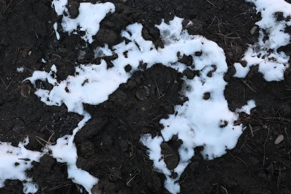 Pohled Shora Sněhová Textura Pozadí Zimní Období Přirozené Pozadí Pozadí — Stock fotografie