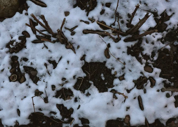 上视图 雪的纹理 自然背景 背景是雪和黑土 近距离拍摄高品质的照片 二月的那个月 雪在融化 — 图库照片