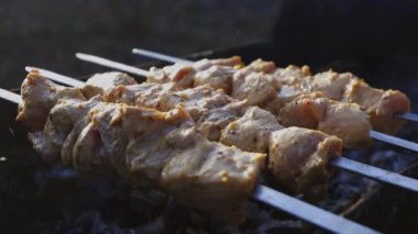 Delicious juicy shish kebab. pork on fire. food on fire. barbecue in the yard. Georgian kebab. meat hot tasty dish. fried meat, juicy pork. cooking on a campfire. Georgian cuisine. meat on a skewer