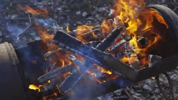 Grilování Dvoře Dřevo Oheň Vaření Letní Dovolená Grilu Oheň Hoří — Stock video