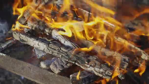 Grilování Dvoře Dřevo Oheň Vaření Letní Dovolená Grilu Oheň Hoří — Stock video