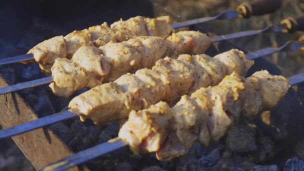 Delicioso Kebab Shish Suculento Porco Chamas Comida Chamas Churrasco Quintal — Vídeo de Stock