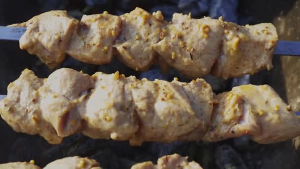 Delicious Juicy Shish Kebab Pork Fire Food Fire Barbecue Yard — Video