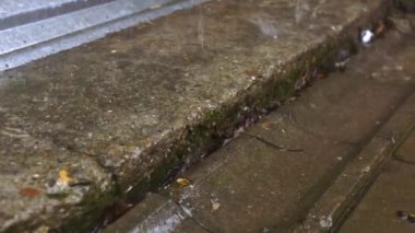 Hava kötü, yağmur yağıyor. Su damlaları düşer. Kasvetli, gök gürültülü fırtına