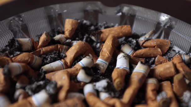 Сигареты Пепельнице Пепел Много Копченых Сигарет Сильная Страсть Курению Вредно — стоковое видео