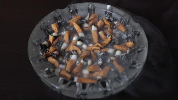 재떨이에 담배를 피우고 재를뿌리고 담배를 피웠다 흡연에 건강에 해롭다 흡연은 — 비디오