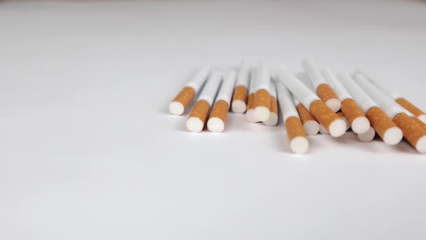 Muitos Cigarros Fundo Branco Uma Forte Paixão Por Fumar Nocivo — Vídeo de Stock
