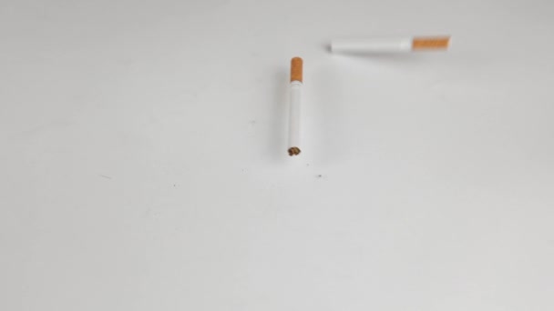 Viele Zigaretten Auf Weißem Grund Eine Starke Leidenschaft Für Das — Stockvideo
