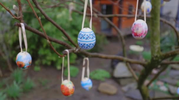 Великодні Яйця Яйця Вішають Дереві Прикрашені Яйця Великдень Відпустка Весняне — стокове відео