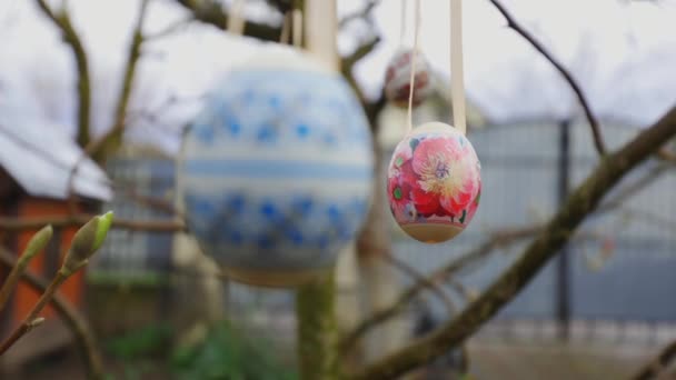 复活节彩蛋鸡蛋挂在树上 装饰过的蛋复活节 — 图库视频影像