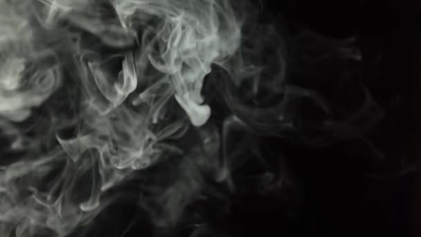 Schwarzer Hintergrund Und Rauch Viel Zigarettenrauch Geeignet Für Effekte Verschiedenen — Stockvideo