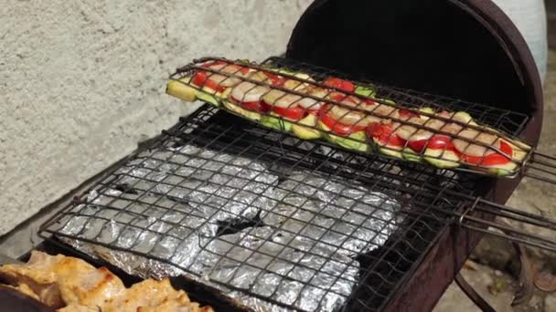 グリルで料理 肉や野菜を焼きます ズッキーニ トマトケバブ 家の近くで休んで ピクニックとおいしいランチ 石炭を使った料理 — ストック動画