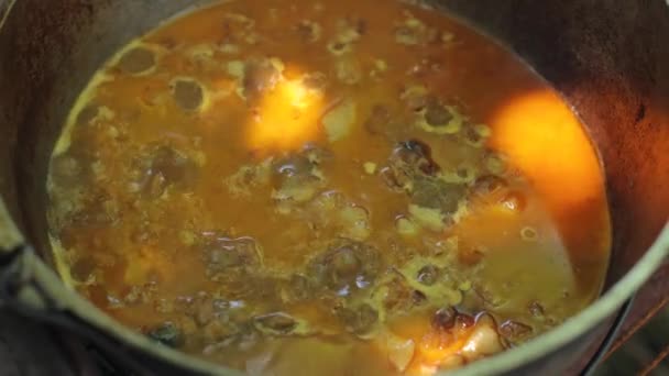 Koken Zomervakantie Bij Barbecue Zomerpicknick Vreugdevuur Warme Soep Een Pot — Stockvideo