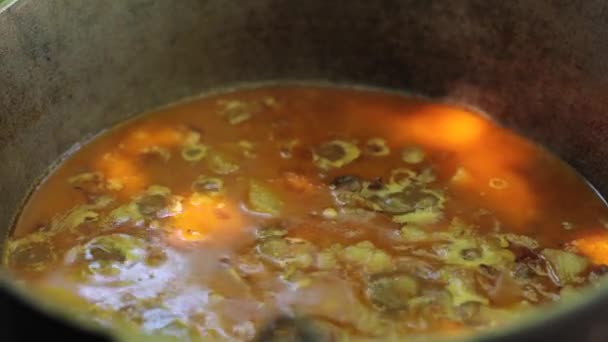 Kochen Sommerferien Der Nähe Des Grills Sommerpicknick Lagerfeuer Heiße Suppe — Stockvideo