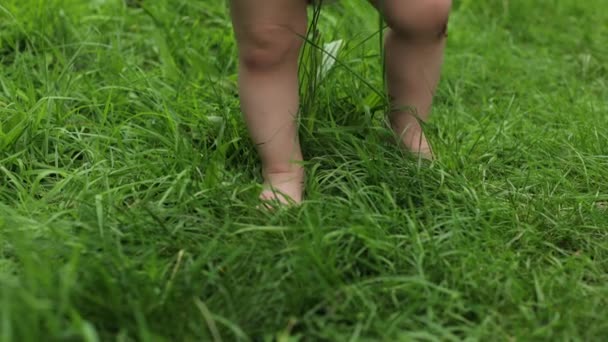 Een Klein Meisje Met Blote Voeten Het Gras Sandalen Zomer — Stockvideo