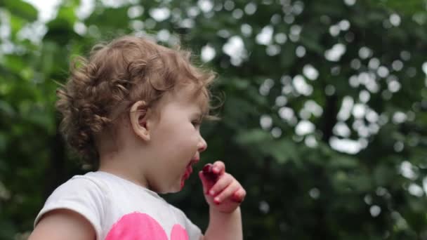 一个孩子吃着一个红色的樱桃 她的嘴被浆果弄脏了 但是果汁从她的手上流下来 健康的食物 儿童维生素 一个小女孩喜欢吃浆果 手头上的樱桃 — 图库视频影像