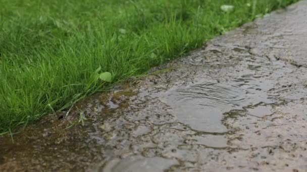 庭の悪天候 雨がコンクリートの道に降り注ぐ 雨と風 気候変動 夏の雨 天気は暗く 家にいる方がよい 降水量が多い — ストック動画