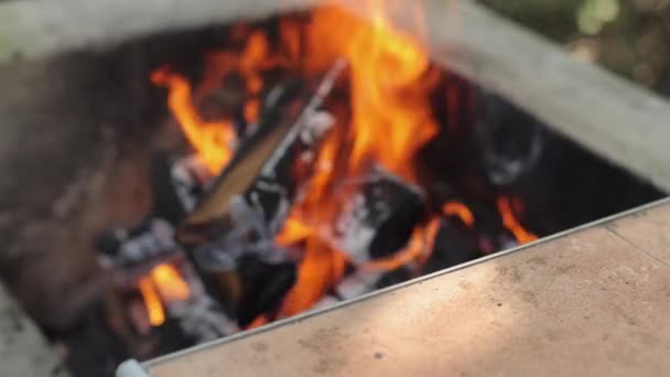 Oheň Dvoře Příprava Piknik Grilování Ohně Odpočinek Konci Týdne Dřevo — Stock video