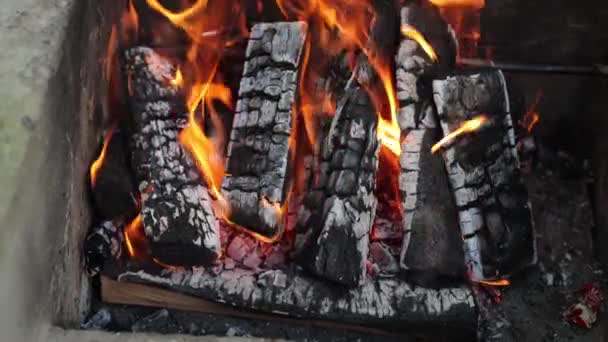 Φωτιά Στην Αυλή Προετοιμασία Για Πικνίκ Μπάρμπεκιου Στη Φωτιά Ξεκούραση — Αρχείο Βίντεο