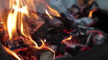 Bahçede şenlik ateşi. Piknik hazırlığı, kamp ateşinde barbekü, hafta sonunda dinlenme. Barbeküde odun yanıyor, çok sıcak. Kuru odun ateşi, yemek pişirmek için yakıt.